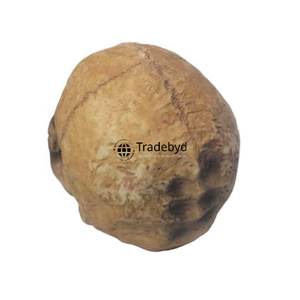 Figura esculpida de animales de resina Premium Tradebyd, decoración elegante hecha a mano para hogares elegantes y necesidades de regalo - Product Image 4