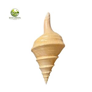 Concha de Caracol Natural Amarilla Hecha a Mano para Decoración de Paisajes, Espiral Larga, Especímen Natural, Arte con Tacto Real - Product Image 2