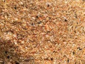 ผงเปลือกกุ้งที่อุดมไปด้วยโปรตีน/อาหารสัตว์จำนวนมากจากเวียดนามข้อมูลทองคำ99 - Product Image 5