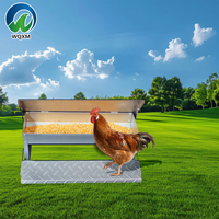Mangeoire étanche anti-rat en acier inoxydable galvanisé à chaud écologique de grande capacité pour poulet de chair
