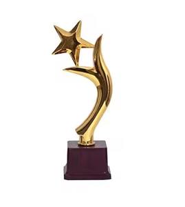 Coupe de trophée de cricket en métal, prix sportif pour l'événement annuel de cricket - Product Image 5