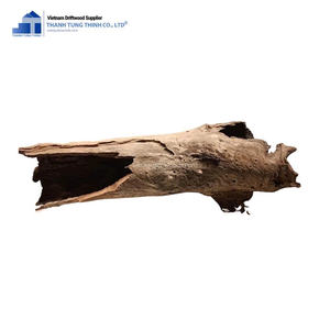 New Item Eco-friendly and Sustainable Driftwood for Natural energy enhancer From a Vietnamese manufacturer - Product Image 6