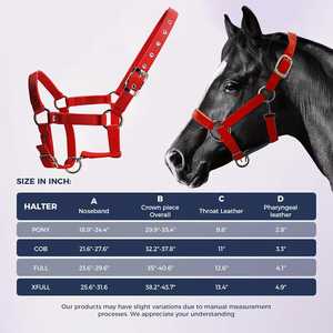 Licol de luxe pour cheval avec système de sécurité anti-évasion, en sangle de polypropylène rembourrée, avec placage en nickel perlé en alliage de zinc - Product Image 2