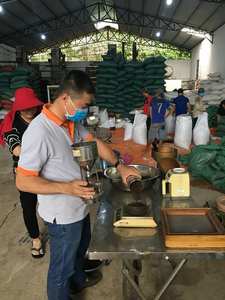 Traitement cru séché d'épices de l'exportateur vietnamien épicé de poivre noir chaud avec le processus de séchage AD 500 FAQ 500 MC Spécification - Product Image 4