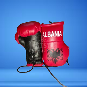 Mini gants de boxe personnalisés avec conception CountryFlag Porte-clés suspendu de voiture en cuir PU Vente en gros OEM d'ALBANIE Grèce Italie - Product Image 5
