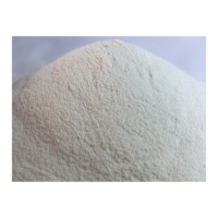 Protéines de lactosérum de haute qualité en gros, protéines de qualité alimentaire, OEM/ODM personnalisé, marque BVBA TOYA TRADING