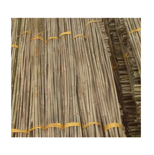 Eco-Friendly Bamboo Stems