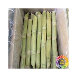 Rebanadas de caña de azúcar congeladas de alta calidad selladas para mantener la frescura y el sabor, ideal para exportar y usar rápidamente - Product Image 4