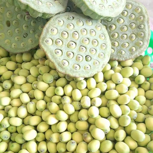 Semillas de Loto Negro Secas Vietnamitas, Mejor Selección, Paquete a Granel Disponible, Alta Calidad, Aromáticas y Deliciosas - Product Image 1