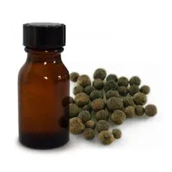 Pure & Natural Pimento Berry <b>Essential</b> <b>Oil</b> | Bulk Wholesale <b>Oil</b> <b>for</b> Aromatherapy, Skin & Haircare | OEM/Private Label Available - Product Image 5