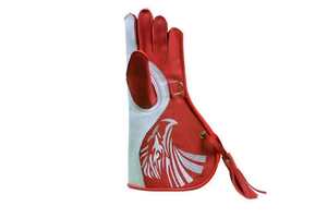 Guantes de cetrería de cuero de piel de vaca genuina de doble capa para hombres Bird Handling Pet - Product Image 6