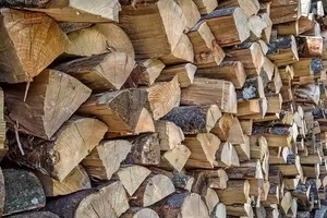 High Quality <b>Kiln</b> Dried Firewood Dry Beech Oak Firewood <b>for</b> <b>Sale</b> Factory Supply Energy-Related Products - Product Image 6