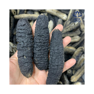 Concombre de mer noir séché de haute qualité, pas cher, échabre holographique du Vietnam - Product Image 1