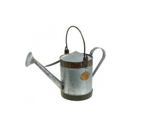 Fleurs de jardinage personnalisées, bouilloire à long bec, arrosoir en métal galvanisé à revêtement électrique, GardenPopular - Product Image 5