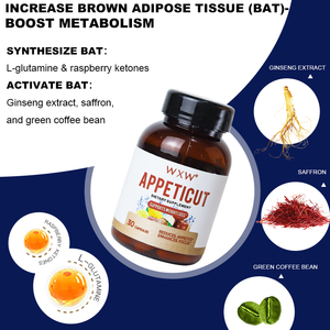 Cápsulas Adelgazantes Naturales OEM ODM, Reducen los Antojos y Aceleran el Metabolismo para Adultos, Cápsulas para la Pérdida de Peso - Product Image 4