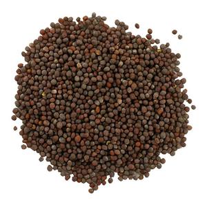 Graines de moutarde Sarson (graines noires) 1000g - Product Image 1