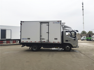 Used 4x2 <b>Small</b> Refrigerated Box Truck 31-40T Load Capacity <b>Light</b> Freezer Van Manual Transmission Diesel Euro 4 <150hp - Product Image 3