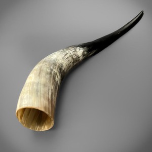 Cuerno natural vikingo para beber aguamiel, material orgánico impermeable pulido para cerveza o arte coleccionable - Product Image 1