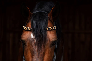 Bride de tête en cuir de qualité supérieure pour chevaux, accessoires pour chevaux, vente en gros d'équipements équestres, prix de gros - Product Image 6