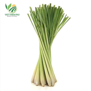Hierba de limón congelada orgánica Viet Thien Phu 100% hierba aromática fresca y natural para mercados de exportación globales - Product Image 5