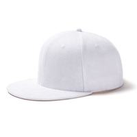 Casquettes de baseball unisexes personnalisées avec logo imprimé en 3D, style hip-hop streetwear, respirantes, imperméables et ajustables, vente en gros