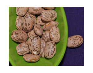 Haricots Pinto Séchés de Haute Qualité – Meilleur Prix, Vente Chaude – Haricots Noirs Mouchetés pour la Cuisine – Haricots Naturels et Purs - Product Image 2