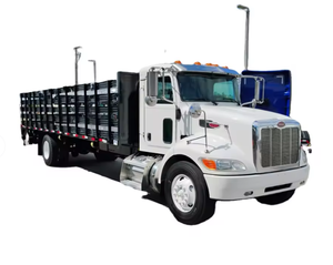 PRÊT À EXPÉDIER Camion Utilitaire Diesel Manuel d'Occasion 2019 330 Transport de Marchandises Commercial - Product Image 1