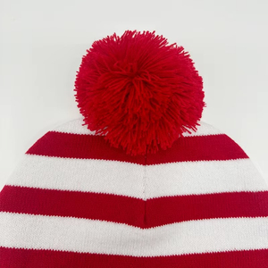 Otoño Invierno logotipo bordado personalizado Navidad Unisex 100% gorros de punto de lana sombreros Color elástico diseño de calavera a rayas - Product Image 4