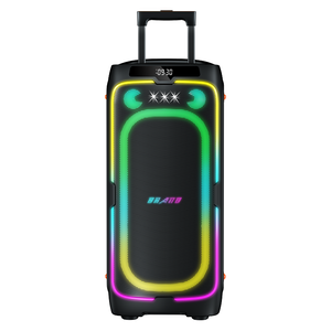 Enceinte de karaoké professionnelle 2x8 pouces 150W avec amplificateur, chariot de fête portable à grandes roues, enceinte DJ Bluetooth avec micro sans fil - Product Image 3