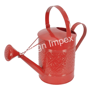 Venta en línea Hoja de herramientas de jardín Regadera de hierro con asas dobles Abuela favorita Plantas de interior Regadera - Product Image 2