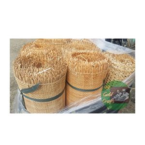 PROVEEDOR DE CORREAS DE RATTAN DE VIETNAM PARA FABRICACIÓN DE MUEBLES, PANELES DE GABINETES Y TAPICERÍA DE SILLAS 99 DATOS DE ORO - Product Image 5