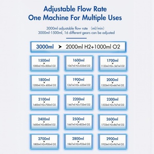 Générateur d'hydrogène <span class=keywords><strong>pour</strong></span> inhalation, machine à inhaler du gaz H2, électrolyseur PEM, générateur moléculaire, prix - Product Image 3
