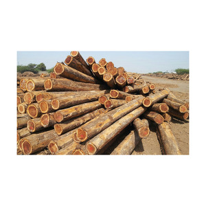 Grumes de bois de teck disponibles à prix compétitif en grand volume - Product Image 4