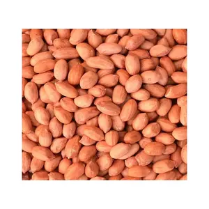 Bold Peanut Supplier in India Wholesale Raw Peanut Kernels/Bold Peanuts Premium Products Supplier