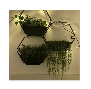 Indoor <b>Outdoor</b> Decorative Hanging <b>Planter</b> Flower Pots Black Color Metal Hanging <b>Planters</b> Home Office Accessories Supplies - Product Image 3