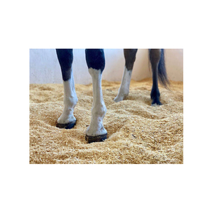 Virutas de madera baratas de la mejor calidad Virutas de madera/aserrín de madera/residuos agrícolas a la venta - Product Image 6