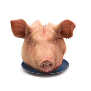 Precio barato Venta a granel Cabezas de cerdo congeladas enteras de alta calidad (cabezas enteras con orejas y lengua) venta al por mayor del proveedor alemán - Product Image 2