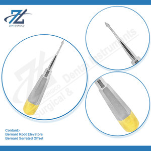 Élévateurs dentaires d'extraction de racines en acier inoxydable de haute qualité Bernard Conception allemande manuelle Fabriqué au Pakistan - Product Image 4