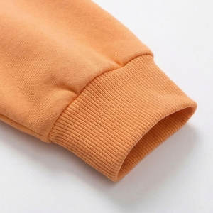 Sweat-shirts à capuche populaires personnalisés avec impression graphique, en mélange de coton doux, coupe oversize, prix de gros OEM, vente en gros de sweat-shirts à capuche - Product Image 5