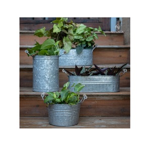 Decorative Garden <b>Herb</b> Conical <b>Pots</b> Metal Flower <b>Pot</b> With Golden Handles Home Decoration Metal Galvanized Planter - Product Image 4