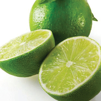 Prix PAS CHER HAUTE QUALITÉ FRAIS SANS GRAINES 2023/Lime sans pépins frais Vietnam/CITRON VERT en gros