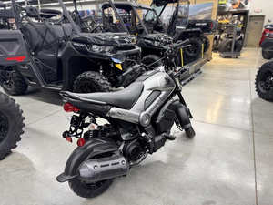 Argent Arctique 2024 Navi métallisé - Product Image 2