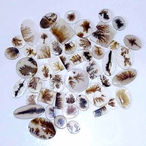 AAA + Shazar Dendrite Agate Cabochon Scenic Dendritic Agate Cabochon Natural Shazar Dendrite Gemstone Mix shazar Agate - Product Image 6