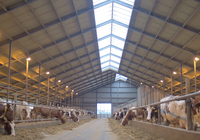 Bâtiment d'élevage de chèvres préfabriqué à faible coût en acier, anti-corrosion, pour moutons et bétail