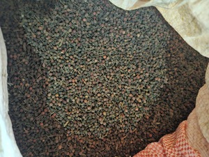 Poivre Sauvage Voatsiperifery de Madagascar Qualité Supérieure en Vrac Naturel Séché Poivre Noir VANILLE HARVEST 24 Herbes Simples Épices - Product Image 3