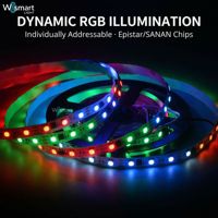 Tira de Luces LED RGB Direccionables de 12V/24V, WS2812B WS2811, Inteligentes y Programables, 144 LED, IP68, Impermeables, para Paisajes y Escenarios