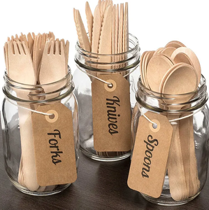 Juego de Cubiertos de madera de abedul compostable biodegradable 100% ecológico, cuchillos de 160mm, tenedores, cucharas para fiestas - Product Image 1