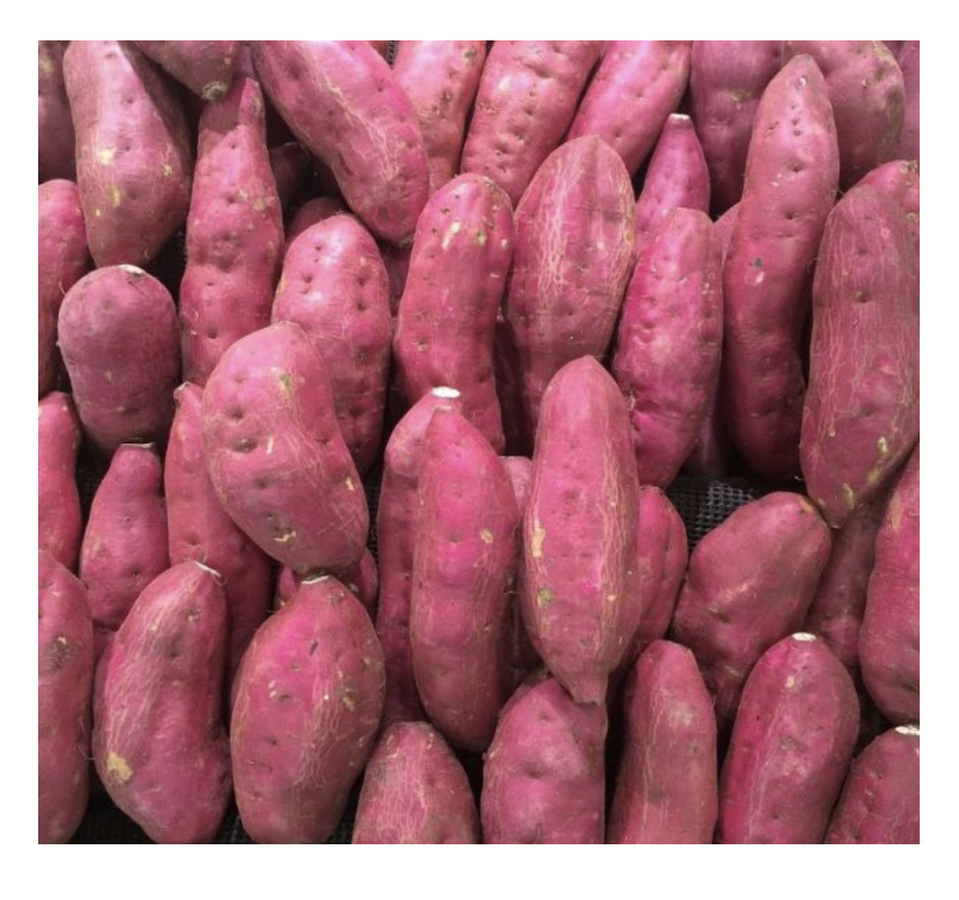Sweet Potato Frozen Cubes Suitable for Industrial Cooking Supermarket Packaging and Frozen Vegetable Mix