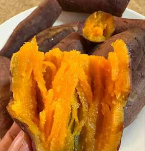 มันเทศสดเวียดนาม คุณภาพดี สำหรับธุรกิจอาหารปลีกและจัดส่งสินค้าระหว่างประเทศแบบจำนวนมาก - Product Image 2