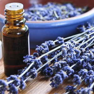 Aceite Esencial de Lavandin 100% Puro y Natural para Uso en Aromaterapia |   Aceite de Lavandin al por Mayor de la India con 24 Meses de Vida Útil - Product Image 5